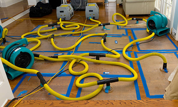 Professional Basement Flood Cleanup technician working in Arlington Heights, PA